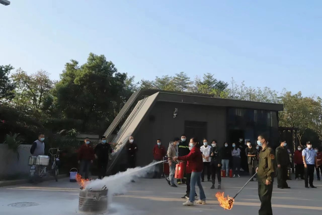 1676359987495279.jpg 11.jpg